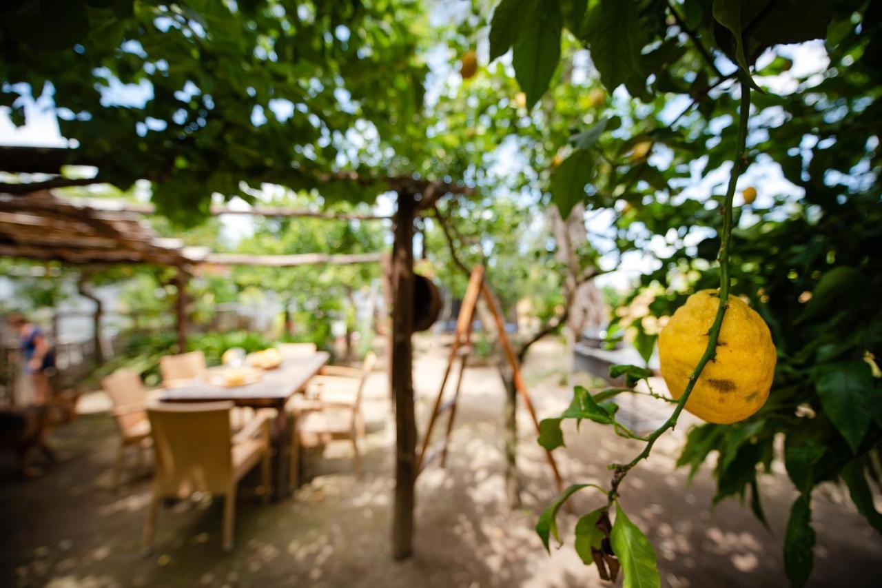 My Home Sorrento Exterior foto