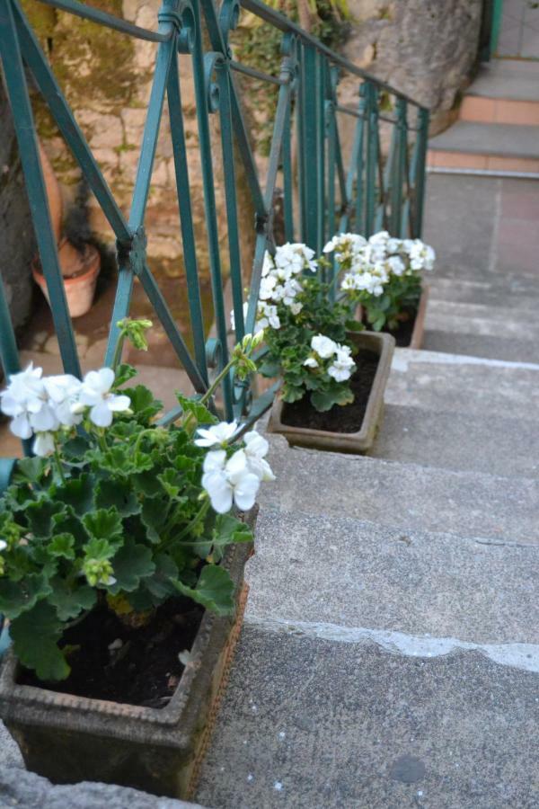 My Home Sorrento Exterior foto