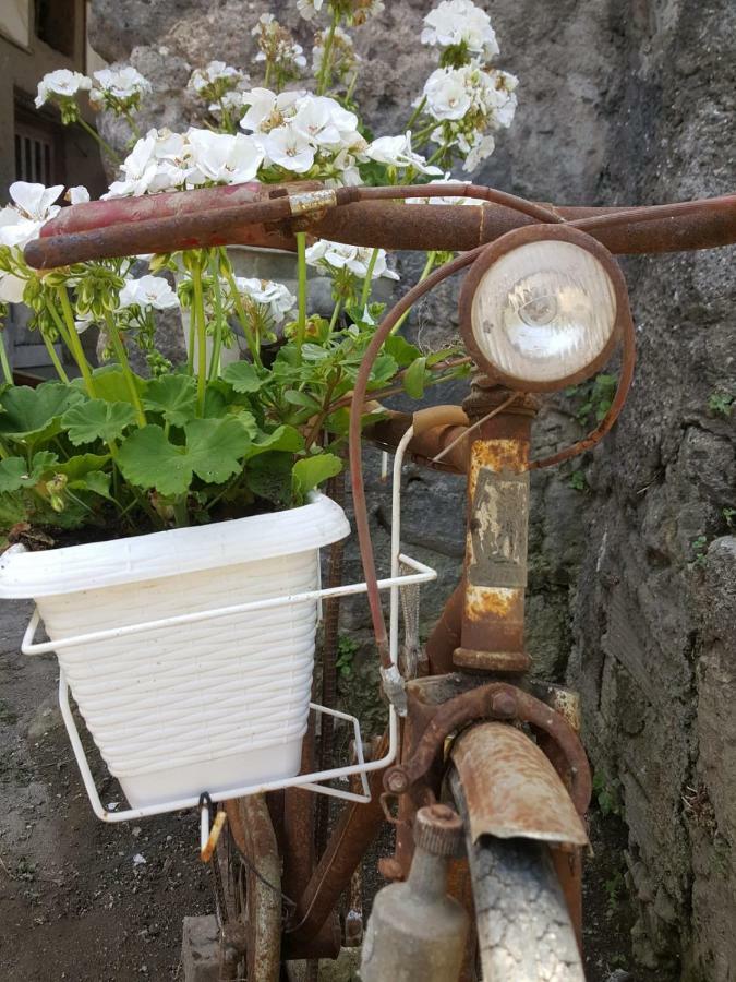 My Home Sorrento Exterior foto
